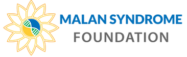 Organization 2 logo